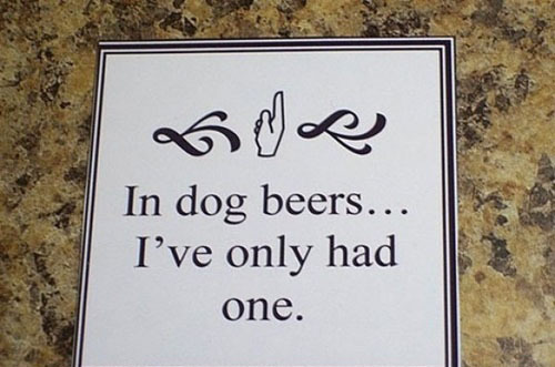 DaveYesMatthews's profile picture. Not the Dave Matthews just a Dave Matthews. Love relaxing knocking back a few and enjoying good music and games.