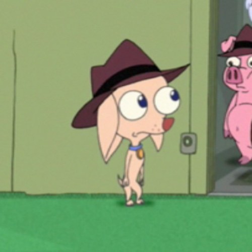 Verified Account
Im Pinky The Dog. My Favorite Owner Is Isabella! My Buddys Are @ImPerryPlatypus