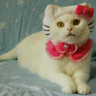 Dep_Boutique's profile picture. Come join with us Boutique ♔D&D♔ pin:27803E87