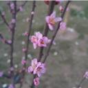 Ray Sue - @RaySueD - Twitter