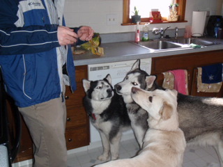 RassyJ's profile picture. 