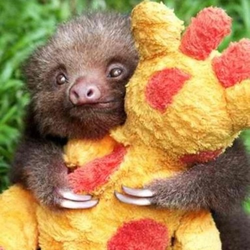 dylanwil08's profile picture. 