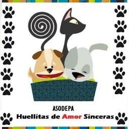 Huellitas de Amor Sinceras... las podrás encontrar en aquellas pequeñas y grandes mascotas que solo buscan tu cariño.