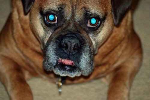 hopkinskjh's profile picture. 