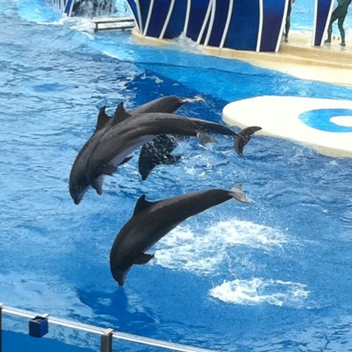 yogsi444's profile picture. 