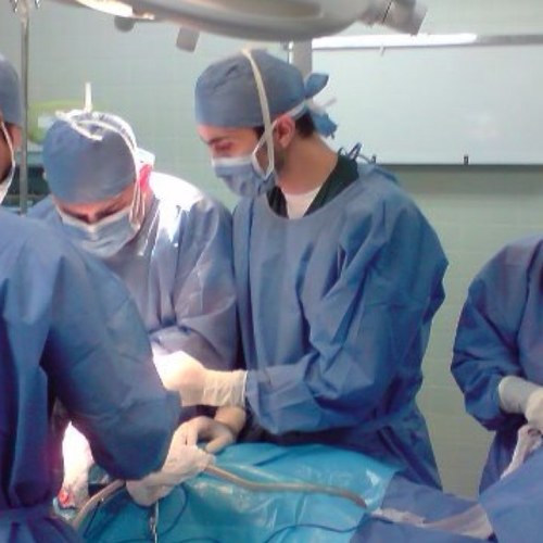 carlosapm82's profile picture. Medico Cirujano ULA / Fotografo aficionado