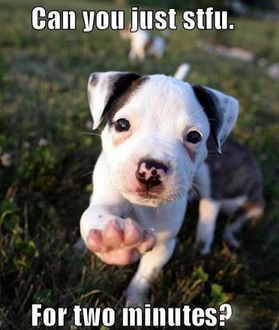 1RisingSon's profile picture. Fictional writer, husband, and lover all things fast. There's nothing better to me than those 3, esp. writting.