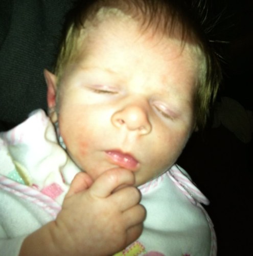 TheW1t's profile picture. Sometimes interested, sometimes interesting, never knowingly right.