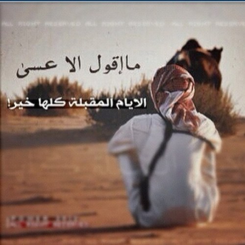 faisa_ii's profile picture. 