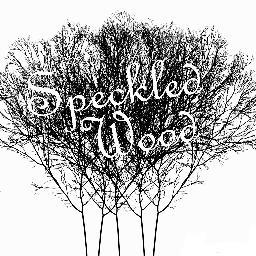 thespeckledwood's profile picture. Twitter home of Speckled Wood.
Laser cut and etched artwork made near Bath.
