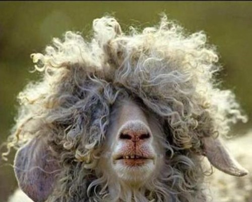 JFrumina's profile picture. 