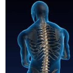 MassageBrisban2's profile picture. Massage Brisbane follow different therapies for the patients which work as a remedy and have many solutions towards the health problems.