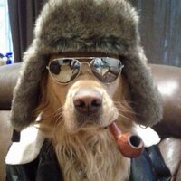 Justin Bugg (@jbugg5) 's Twitter Profile