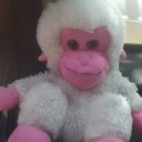 benjamin nava v - @pko024 - Twitter