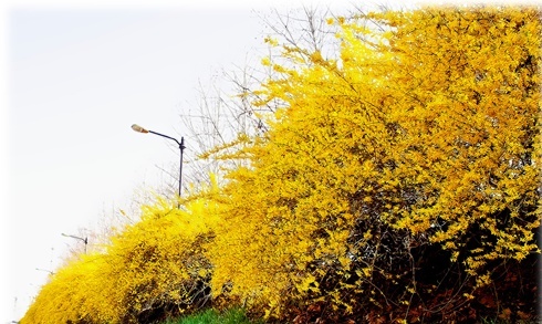 hssking's profile picture. 이러나 저러나 등 따시고 배부르면 만 백성이 행복하게 사는 것을.........