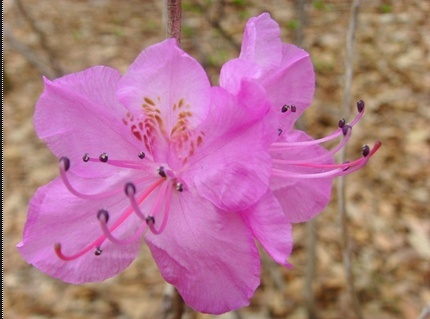 youngsu1004's profile picture. 하늘을 날 수 있는 짚와이어가 있는 정선입니다