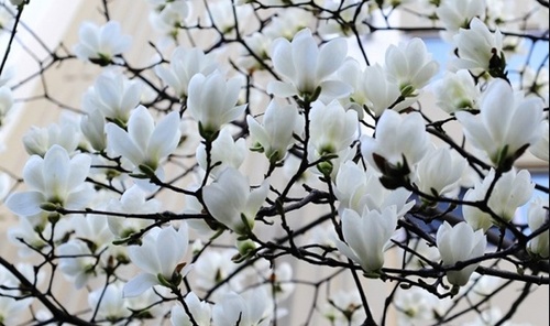 kr21hong's profile picture. 만학도 교육생