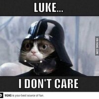 But y tho (@mutant_sea_bass) 's Twitter Profile