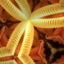 Dawn schauer - @dawn_schauer - Twitter