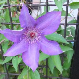 aya_ayada's profile picture. テニス・旅行・料理・コスメ のんびり主婦です おしゃべり好きなので話しかけてね！笑顔で毎日を過ごせるといいな♪ よろしくお願いします