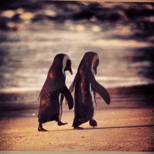 ClaireEduardo's profile picture. The posts/tweets/views published from this account do not represent the views of my employer.