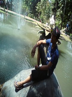 Picture