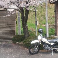 ためぞう (@sherpawr) 's Twitter Profile