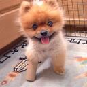 Fred Cox - @fred_cox - Twitter