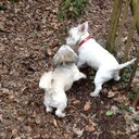 Emily Sands - @emilysands101 - Twitter