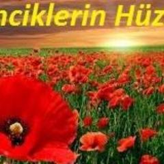 Sakin sakin otur yüreğim, toz kaldırma. Bırak dünya sana gelecek yolu kendisi bulsun..
(R.Tagore)