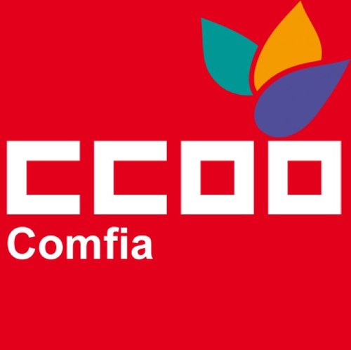 CCOO Federación de Servicios