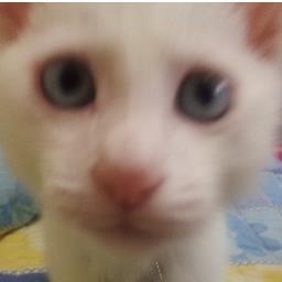 dyddn2323 Profile Picture