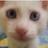 dyddn2323's profile image