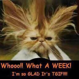 TGIF_k13_Velp's profile picture. Een 30+ dansfeest met 100% dance classics met DJ Nick in de sfeervolle ambiance van Kastanjelaan13, voorheen Kunsthuis 13, in Velp.