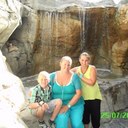 Julia Griffiths - @JuliaGriffiths1 - Twitter