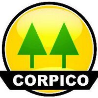 Corpico (@corpicooficial) 's Twitter Profile