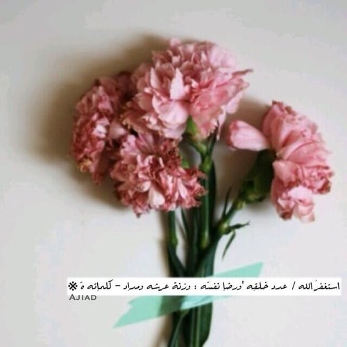 GOOD DAY