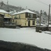 The Blue Light Pub  (@bluelightpub) Twitter profile photo