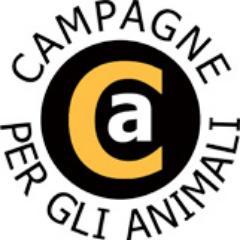 Campagne per animali - Ogni giorno, milioni di Animali sono sfruttati, torturati e uccisi… Eppure, tutto questo non si vede mai! Ca fa pubblicità antispecista