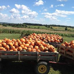 The BEST Pumpkin Patch Experience in Central New York