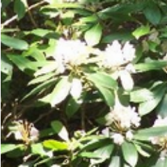 iwestvirginiai's profile picture. @What_DAY_isiT @iLiFEi iS BEAUTiFUL EVERYDAY @iMONDAYi @iTUESDAYi @iWEDNESDAYi @iTHURSDAYi @iFRiDAYi @iSATURDAYi @iSUNDAYi @iFAMiLYi @iFRiENDSi @iSUNSHiNEi #k2