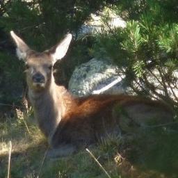 Buckynews's profile picture. medecine ,voyage ,concerts ,théâtre ,cinema ,livre  ,nature .