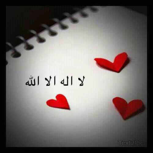 fto0o_11's profile picture. آبويّ فردُوس قلبيّ . . ۈ آميّ جنہ عينيّ ♡.                                    {فول مي =فول باك }