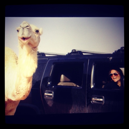 VP MENA Region at New York Film Academy tami@nyfa.edu instagram: taminyfa
