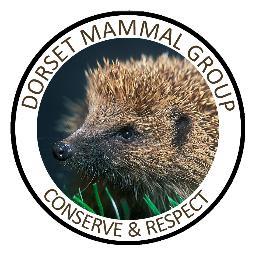 DorsetMammal's profile picture. Welcome to the Dorset Mammal Group, a growing group concerned with the conservation and monitoring of mammals in Dorset.