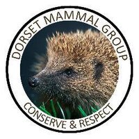 Dorset Mammal Group (@dorsetmammal) 's Twitter Profile Photo