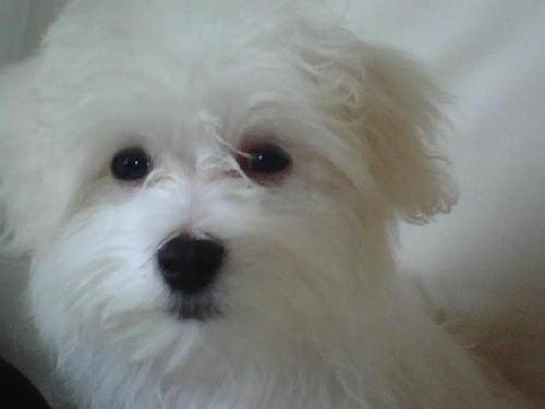 AaronSBell's profile picture. 