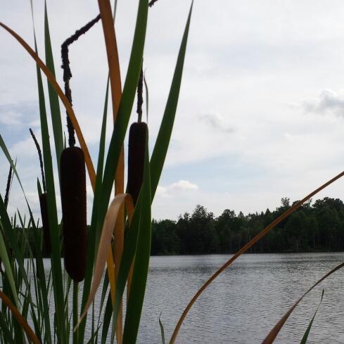 Baumb79's profile picture. work in progress