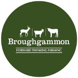 Rose Veal, Kid Goat & Seasonal Wild Game. Ethical|Sustainable|Forward Thinking| Weekly farmer's markets in Belfast & Dublin and online meat boxes: