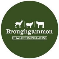 Broughgammon (@broughgammonfrm) 's Twitter Profile